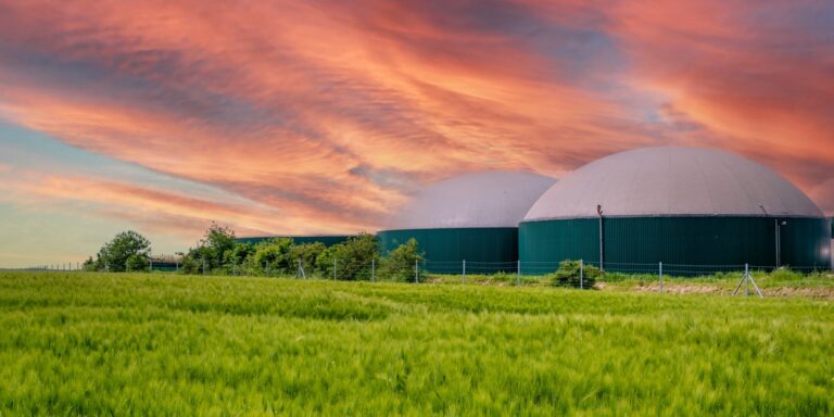 Co dalej z biogazem? Sprawdź, jak zmiany w OZE wpłyną na inwestycje w energię odnawialną.