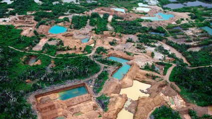 Miliardy dolar&oacute;w z nielegalnego złota. Amazonia to teraz eldorado dla przestępc&oacute;w