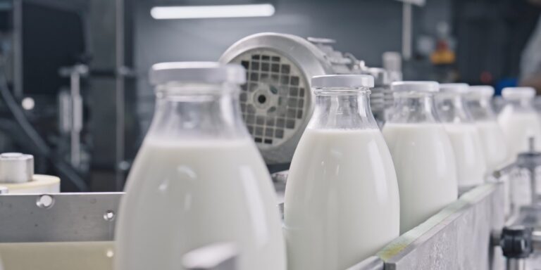 Korea Południowa otwiera drzwi polskim produktom mlecznym: eksport wart miliony!