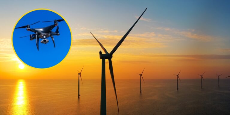 Polska na czele Europy: Jak chronimy morską energetykę wiatrową?