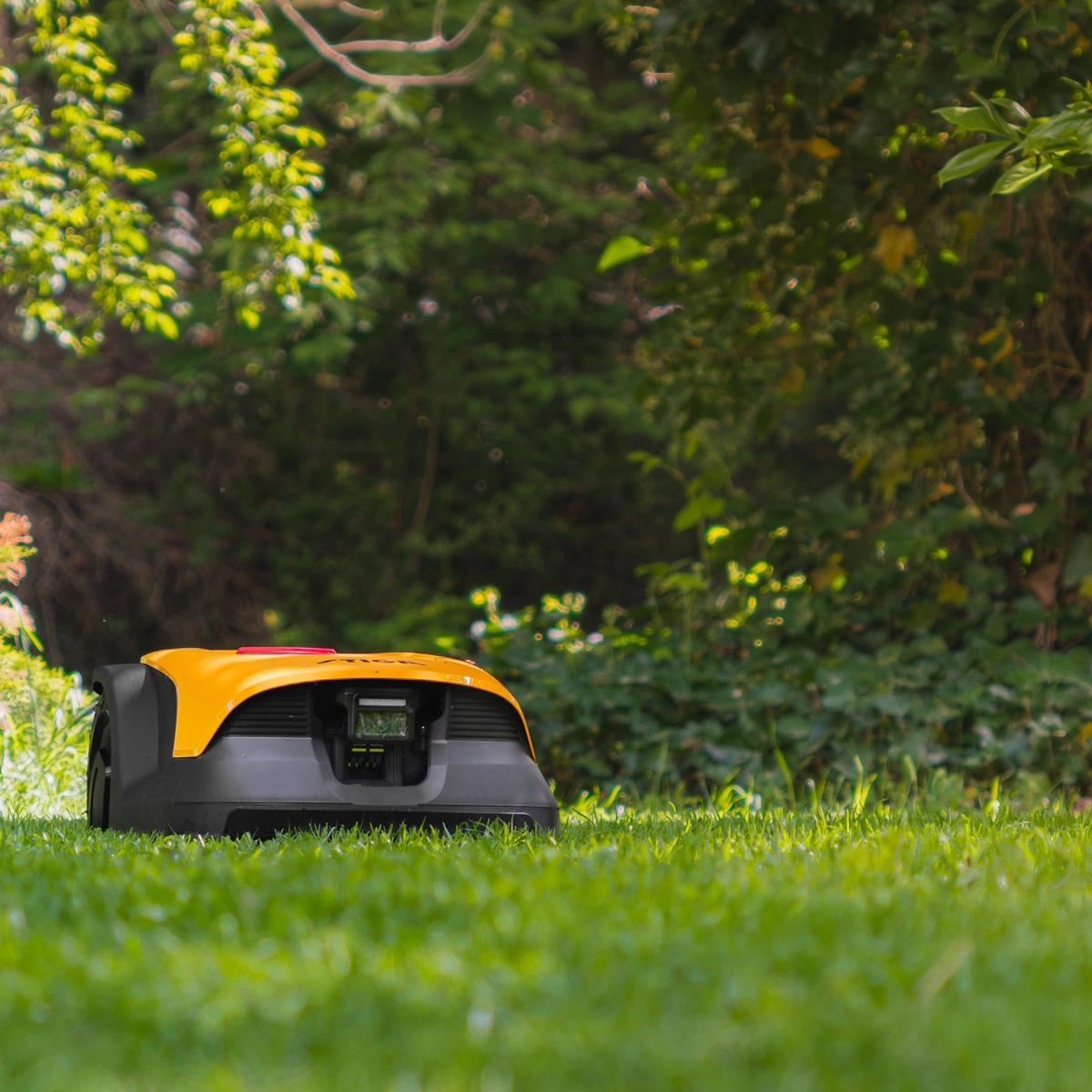 Odkryj przyszłość sprzątania: autonomiczny robot, kt&oacute;ry wyprzedza tradycję 14
