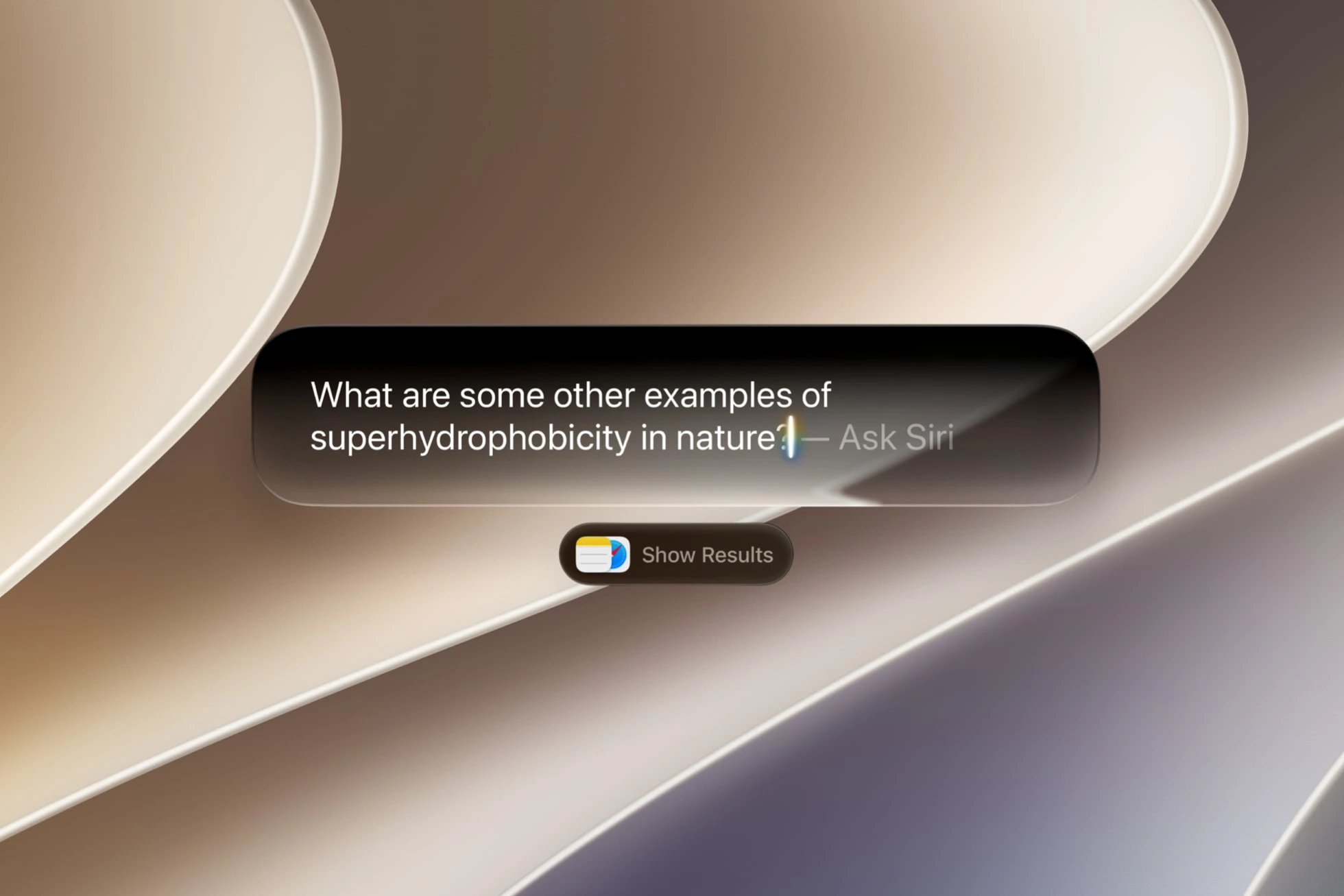 Odkryj możliwości nowej Siri zasilanej przez AI 11