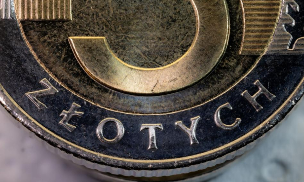 Złotówka stabilna, ale co z euro? Ekspert prognozuje wpływ geopolityki