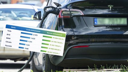 Te marki zgarnęły miliony z dopłat do elektryk&oacute;w w Polsce. Mamy dane