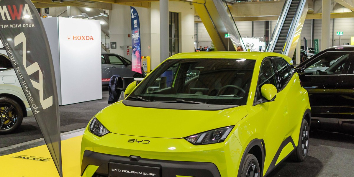 BYD Dolphin Surf