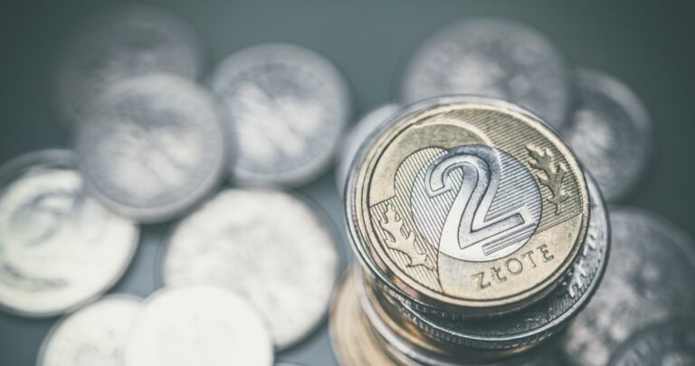 Kursy walut . Ile zapłacimy za euro, dolara i franka?